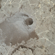 Imagen para el artículo titulado El Rover Curiosity ha encontrado un peculiar isótopo de carbono al perforar el suelo en Marte